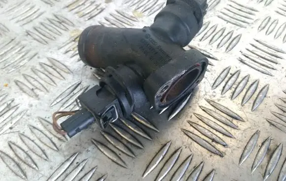 Thermostat/thermostat housing