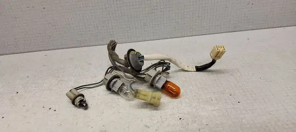 Subaru Outback Tail light bulb cover holder 
