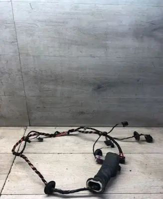 Volkswagen PASSAT B6 Front door wiring loom 1Z0971913
