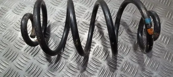 Renault Vel Satis Rear coil spring