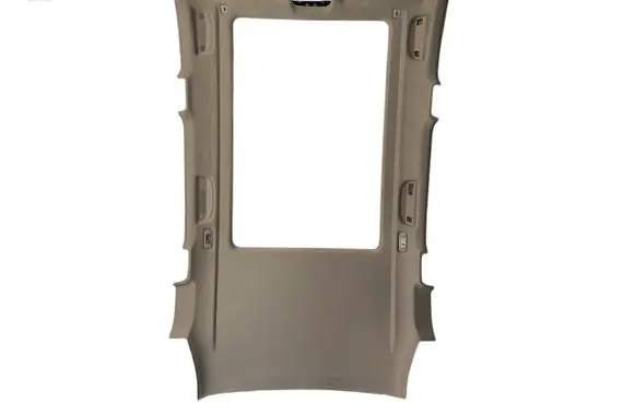 BMW X5 G05 Headlining 5A6D317 9184061 7445786