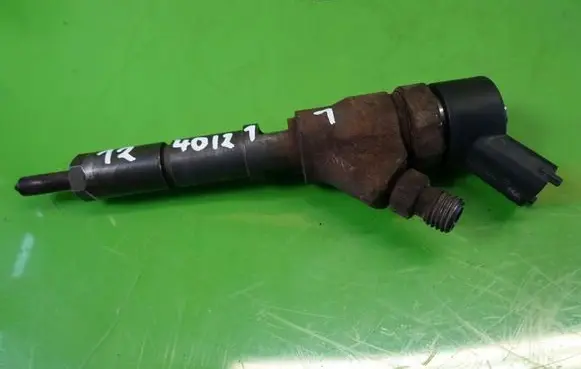 Citroen C5 Fuel injector 0445110076
