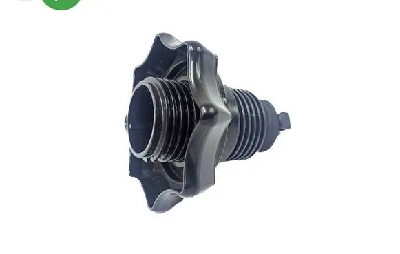 Audi A1 Spare wheel bolt 2G0803899A