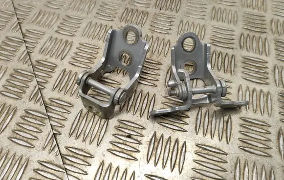 Renault Scenic IV - Grand scenic IV Rear door hinge set 