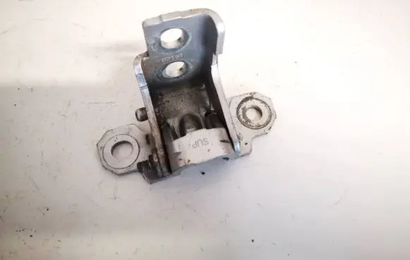 Renault Megane III Rear door lower hinge 804000016r