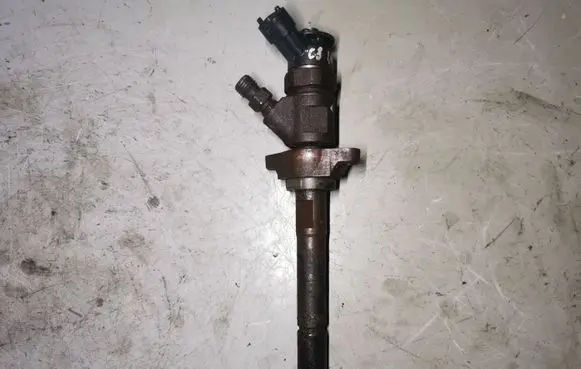 Citroen C3 Fuel injector 0445110311 620033