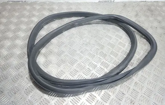 Opel Insignia A Front door rubber seal