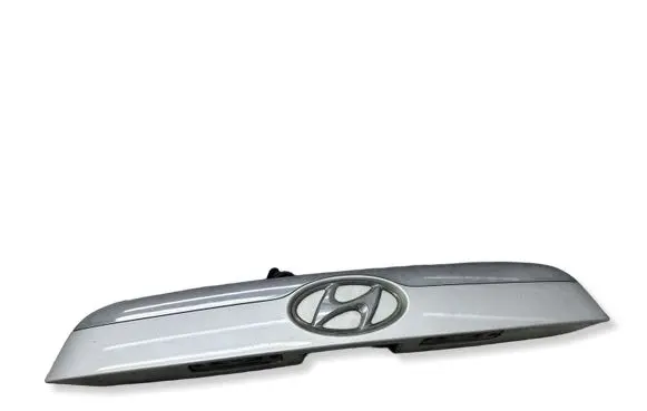 Hyundai ix 55 Trunk door license plate light bar 