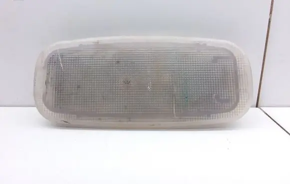 Volkswagen Crafter Front seat light A9068200701