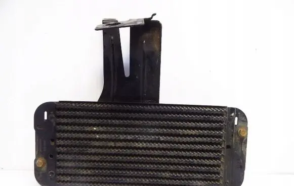 Renault Master III Fuel cooler (radiator) 243561500R