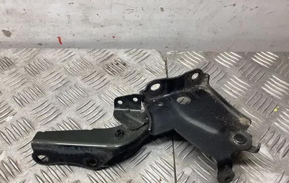 Lexus NX Engine bonnet/hood hinges 
