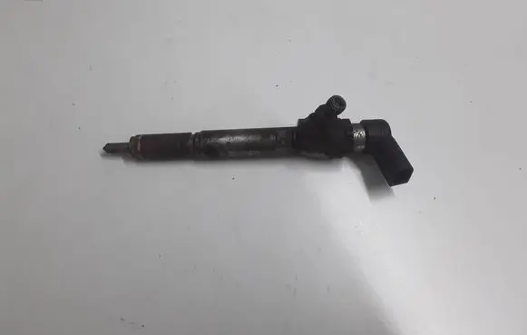 Nissan Qashqai Fuel injector H8200294788