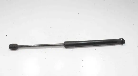 Land Rover Range Rover Evoque L551 Front bonnet/hood damper/strut K8D216C826AA