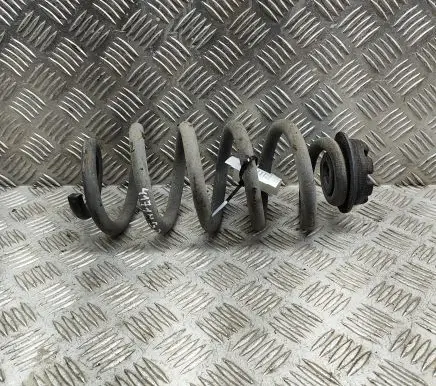 Nissan Qashqai Rear coil spring 550204EA5B