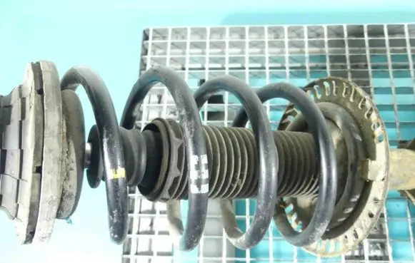 Front coil spring