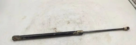 Tailgate/trunk strut/damper