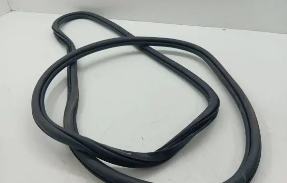 Volkswagen Tiguan Rear door rubber seal (on body) 5NA867913B