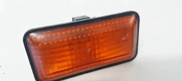 Front fender indicator light