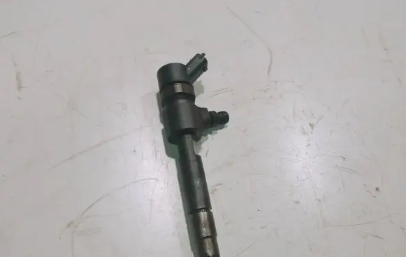 Opel Signum Fuel injector 0445110165 A1TCHBCFA
