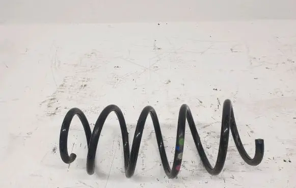 Front coil spring