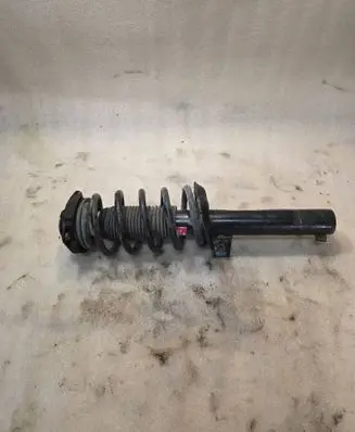 Seat Altea Front shock absorber with coil spring 