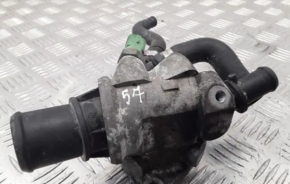 Thermostat/thermostat housing