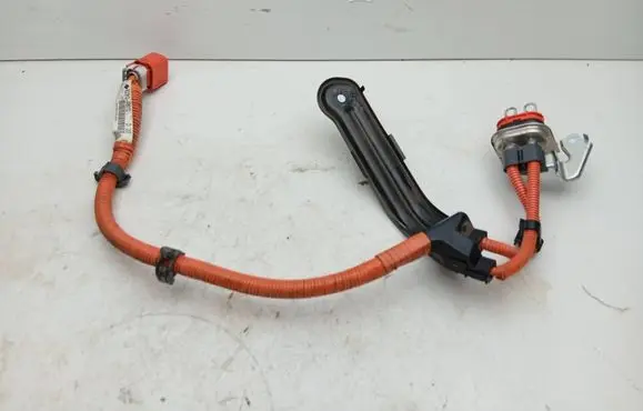 Lexus RX 450H Other wiring loom 821H248010