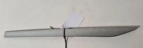 Nissan Qashqai Rear door trim (molding)