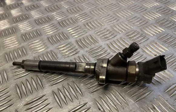 Citroen C4 I Fuel injector 22007606680 0445110239