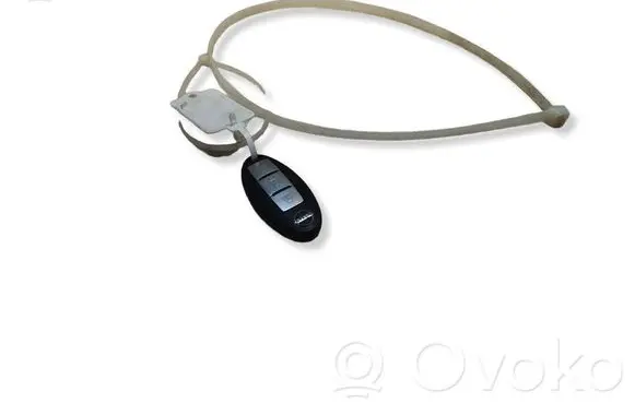Nissan Leaf II (ZE1) Ignition key/card