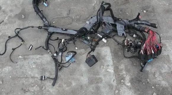 Renault Arkana Other wiring loom brak