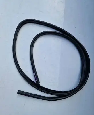 BMW X1 E84 Rubber seal front coupe door 51722993435