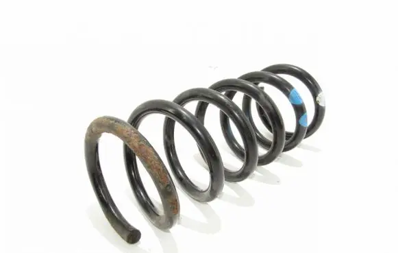 Opel Antara Rear coil spring