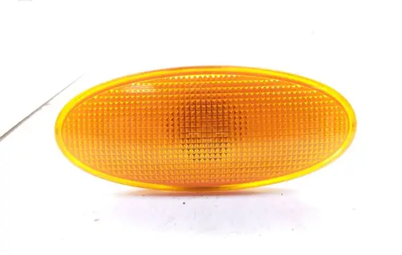Front fender indicator light