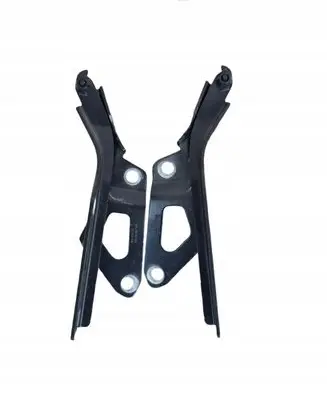 Volkswagen Tiguan Engine bonnet/hood hinges 5NA823301G