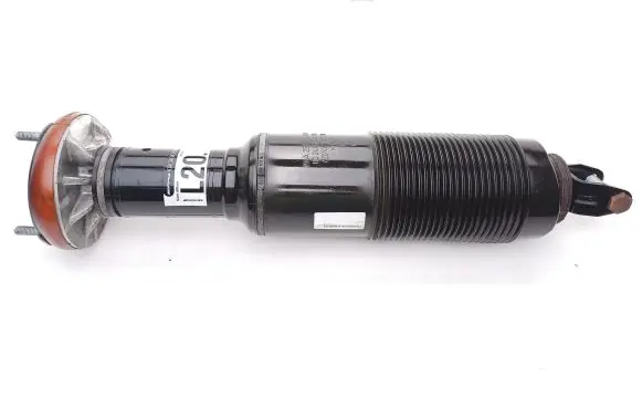 Mercedes-Benz SL AMG R231 Air suspension front shock absorber A2313202913