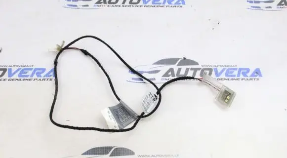 BMW X5 E70 Front door handle light (exterior) 7209882