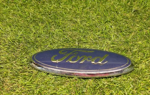 Manufacturer badge logo/emblem