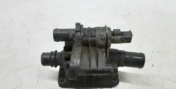 Thermostat/thermostat housing