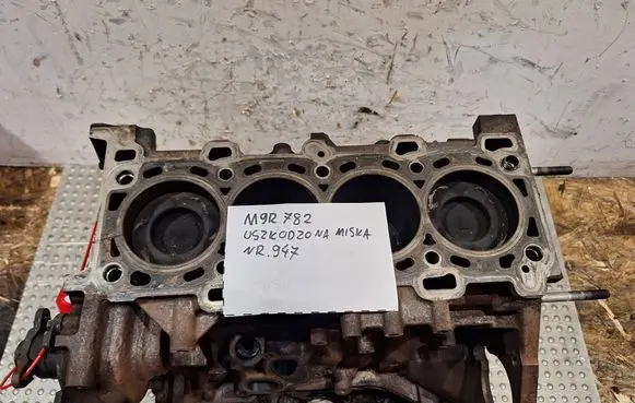 Renault Trafic II (X83) Engine block M9R782 S25081947