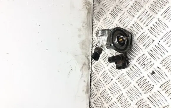Thermostat/thermostat housing