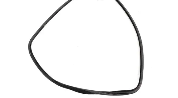 Chrysler 300C Rubber seal rear door 