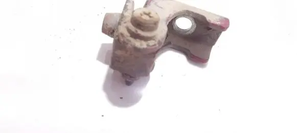 Peugeot 206 Rear door lower hinge
