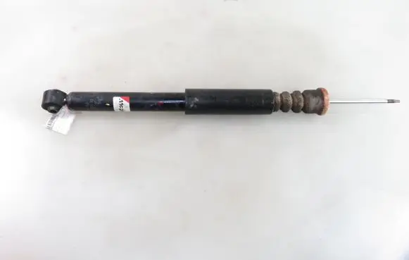 Ford Fiesta Rear shock absorber/damper AGG120MT