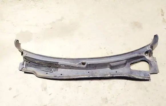 Dodge Magnum Wiper trim