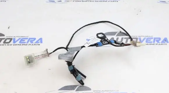 BMW X5 E70 Rear door interior light 7209881