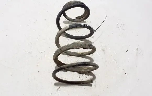 Renault Avantime Rear coil spring 6025401160