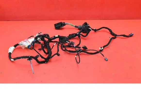 Jaguar XJ X308 Other wiring loom 9843637480