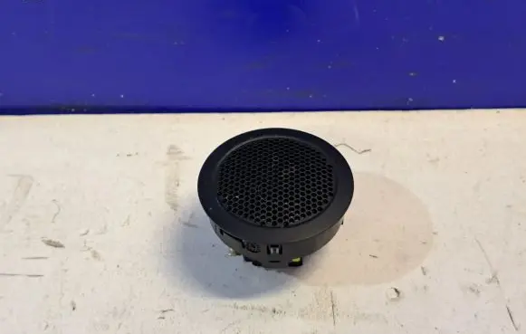Front door speaker