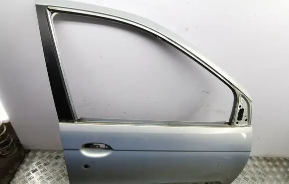 Renault Scenic I Front door